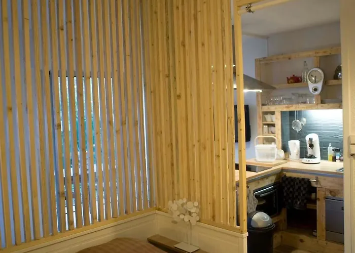 Appartement T1bis avec jardinet au calme