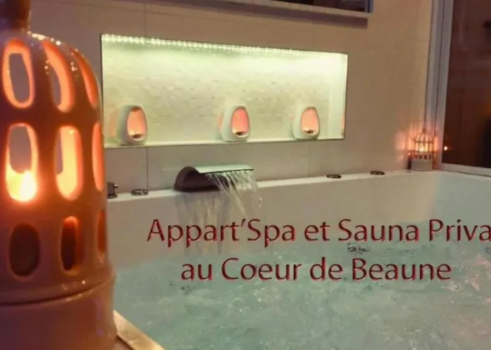 Appart' Spa et Sauna Privatif Au Cœur De Beaune