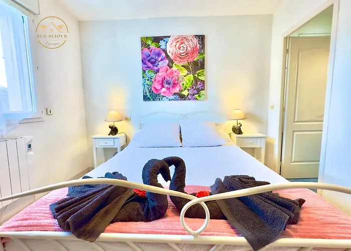 Villa Les Lauriers -3 Chambres, Climatisation, Terrasse, Jardin, BBQ&Plancha- SUDSEJOURCONCIERGERIE