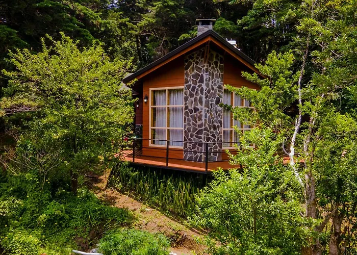 Los Pinos Cabins & Reserve