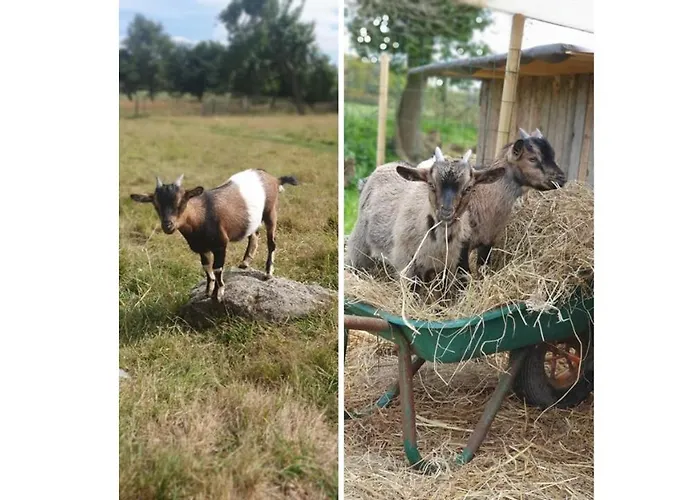 Le Domaine de la petite chèvre