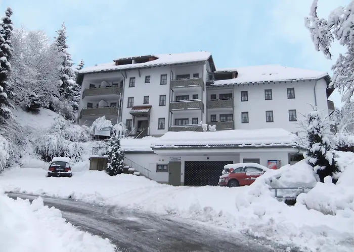 Fewo 12 - Residenz Schauinsland, E-Ladestation, Todtnauberg, Feldberg