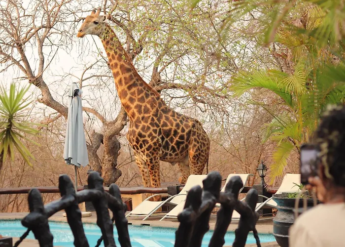 B&B African Rock Lodge