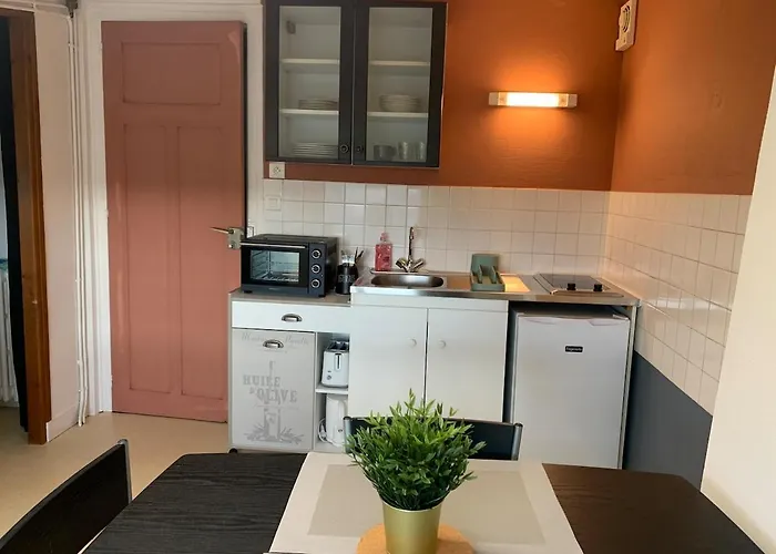 Appartement charmant face au haras