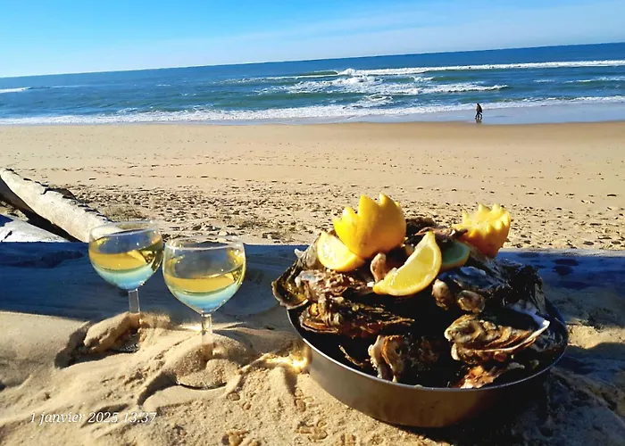 Les Bord'Océanes Sauna&Spa Villa Marensine et Villa Oyat