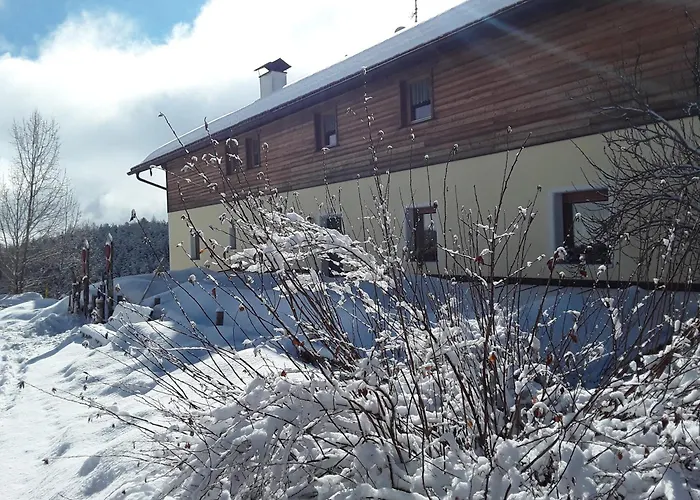  Pension Ferienwohnungen Marchnerhof