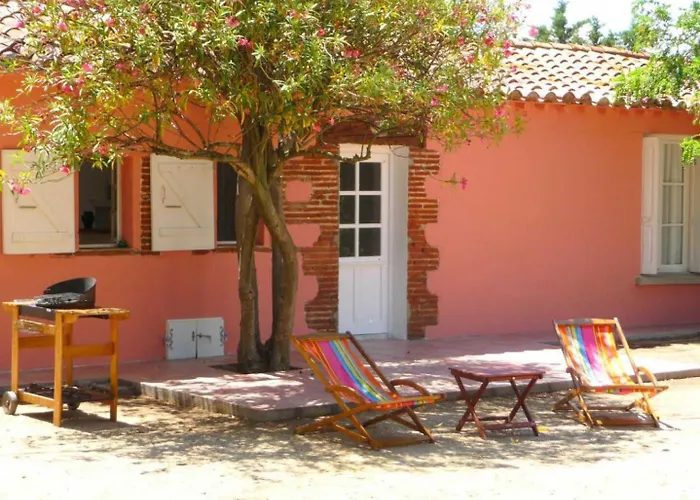 Les pins