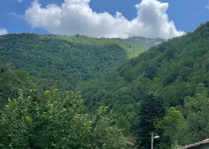 Appartement dans la nature