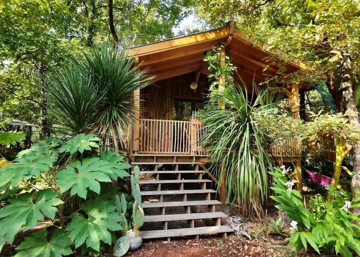 Camping Aux Couleurs du ferret