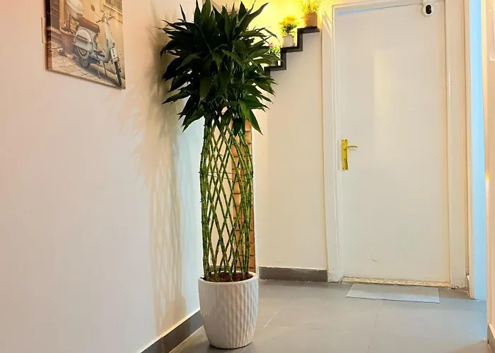 Orchid International