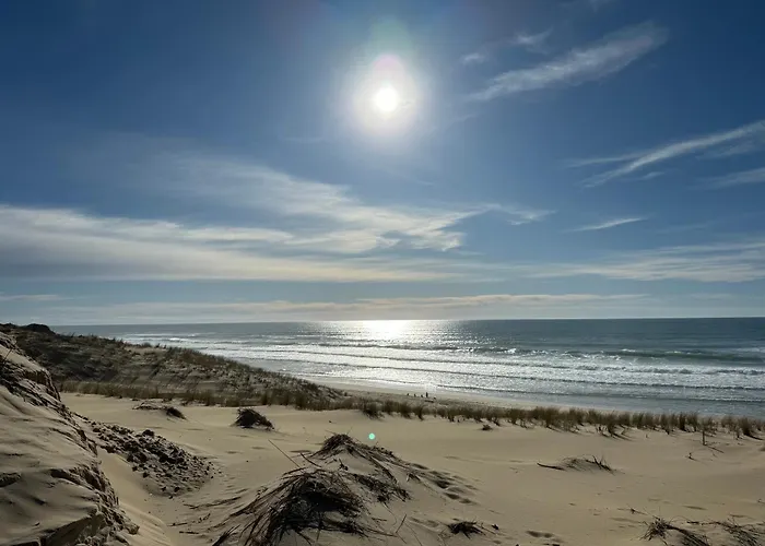 Relax plage et bassin