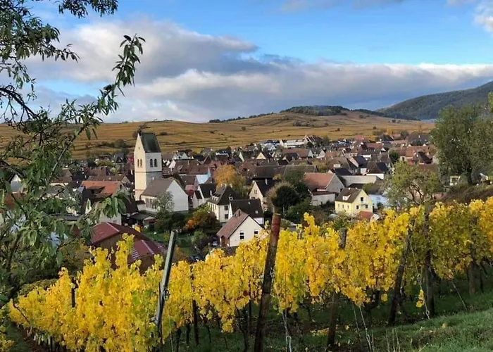 Gite Au Nid de Cigognes
