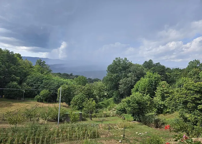 Hotel adatto agli animali: podere il sorriso degli angeli