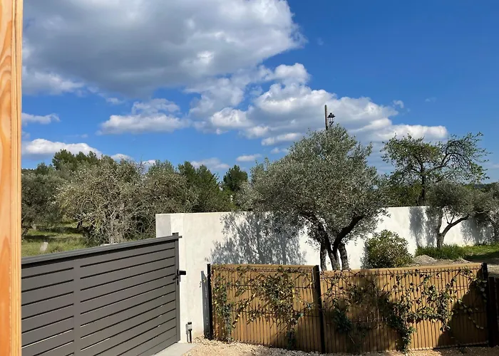 La Tiny House des Oliviers et son jacuzzi
