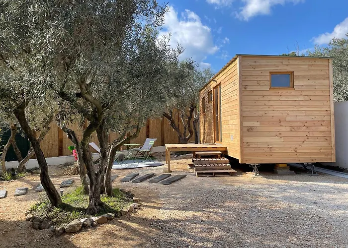 La Tiny House des Oliviers et son jacuzzi