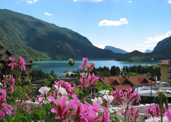 Hotel: Albergo Stella Alpina