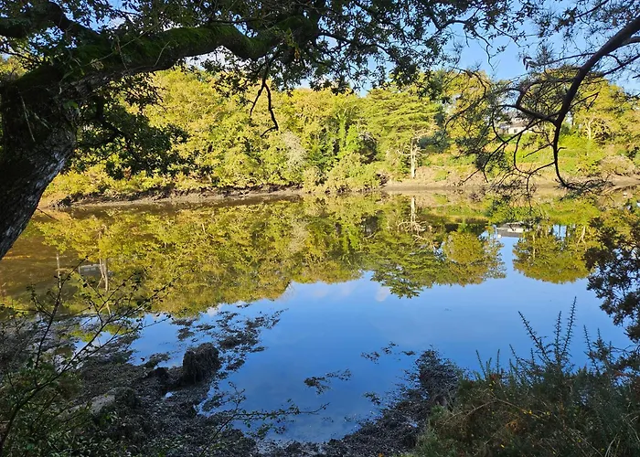 Gîte Les mouettes qui caquètent