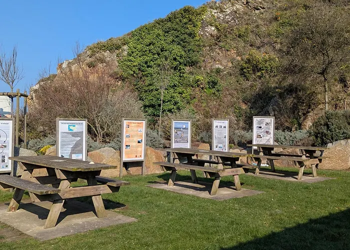 Appart vue mer et sur les falaises-Face au sentier de randonnée