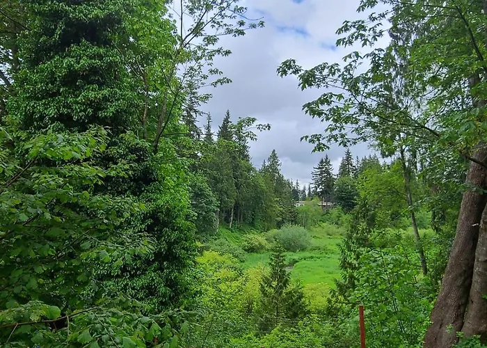 Pnw Creekside Escape Relax, Unwind, Explore