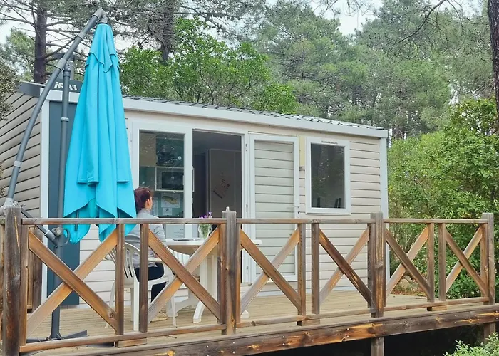 Hôtel accueillant les animaux: Camping Mulinacciu