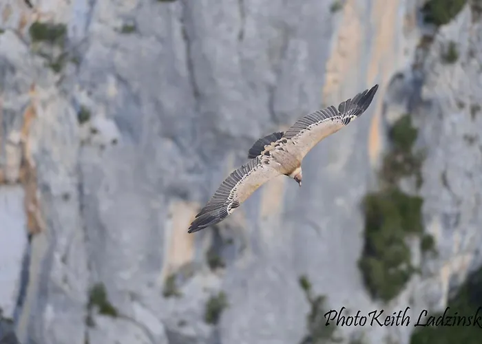 Locations LAC VERDON Climatisation