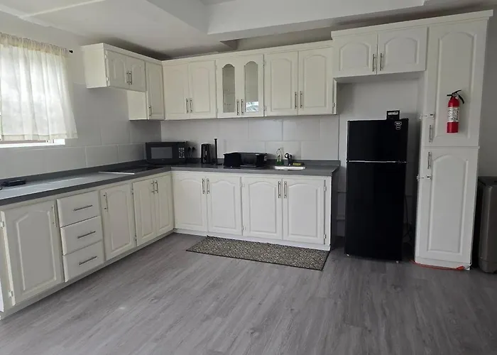 Amiah'S Residence - Spacious Two Bedroom Apartment In St George