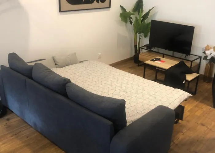 APPARTEMENT F3 BOX Vélo Moto Centre historique