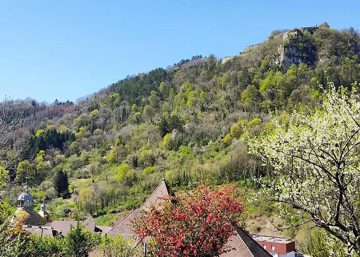 L'Aristoloche