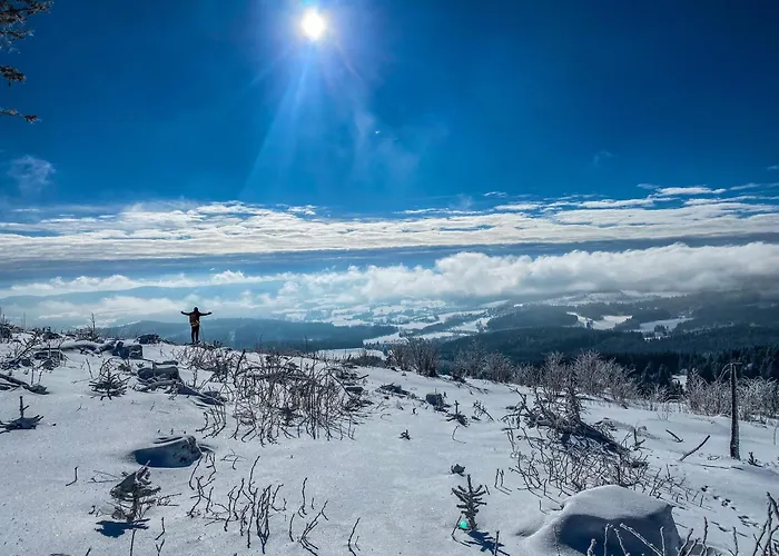 Domek Se Zahradou Na Sumave U Zelezne Rudy