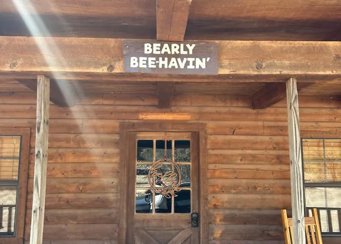 Honeycomb Hideouts Bearly Beehavin Cabin