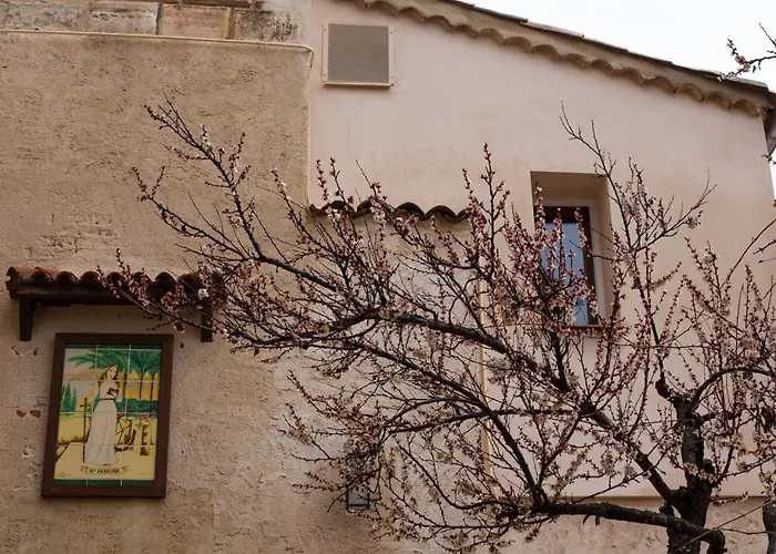 Huerto De Mateo Arana