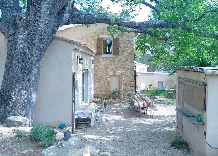 Sous un chêne bicentenaire