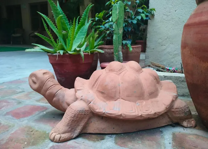 The Melo Pomelo Courtyard.
