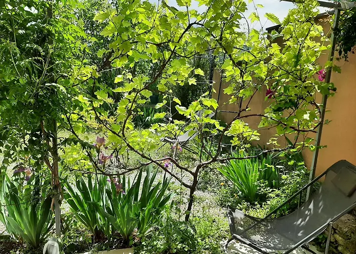 T.Belle Vue Panoramique au coeur du Luberon 40m2 + pergola . jardin. P
