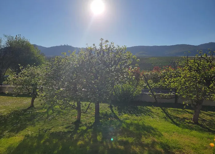 Studio aux pieds des vignes