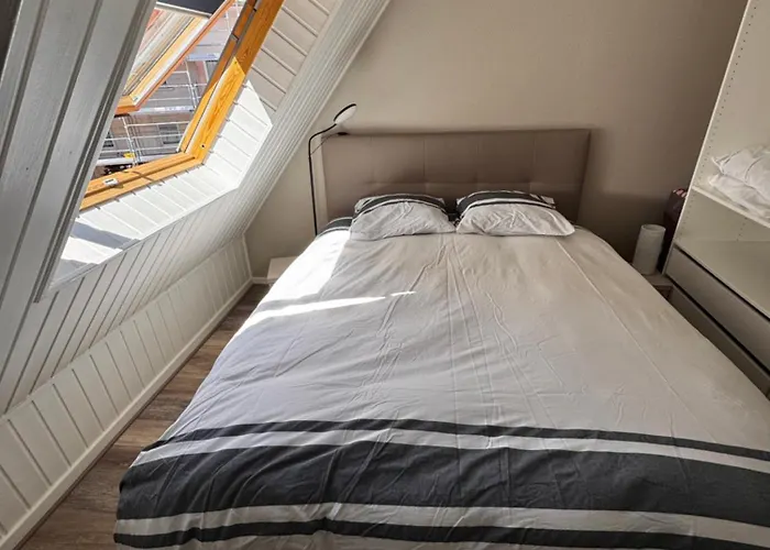 Joli 2 pièces, avec climatisation et grande terrasse, vue sur les toits, zone piétonne