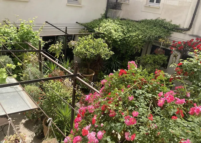 Hôtel accueillant les animaux: La Maison des Augustins 4 stars Spa et Fitness