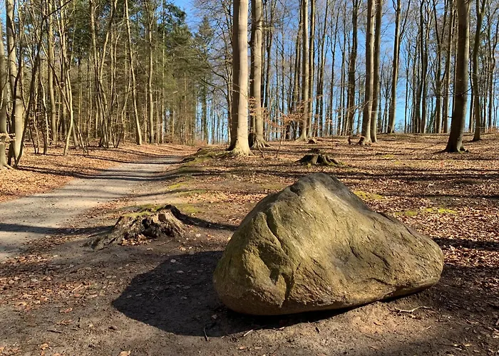 Zur Ostsee