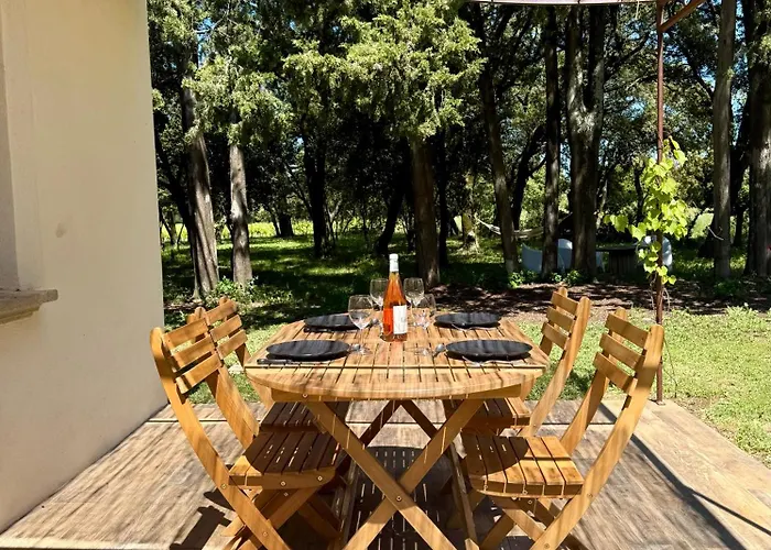 Maisonnette avec petite forêt