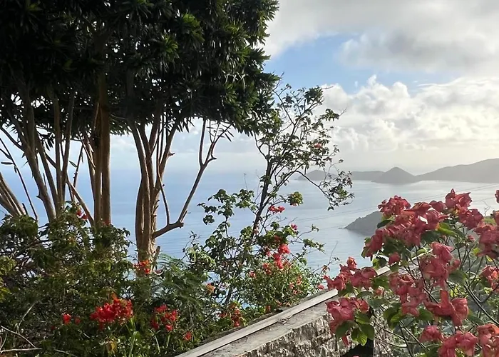 Summervillebvi