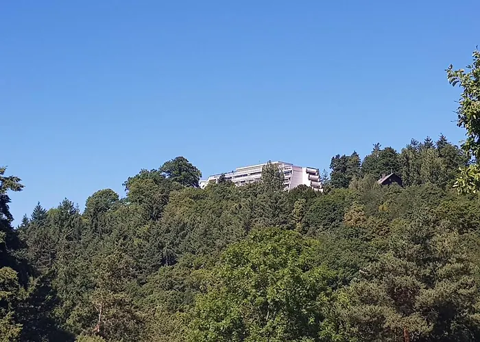 Studio entre forêt et vignoble !