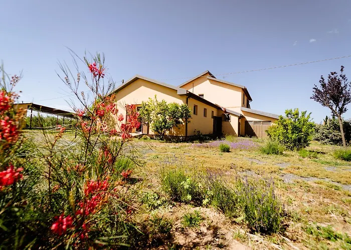  Bio Podere 109 - Wine&Food