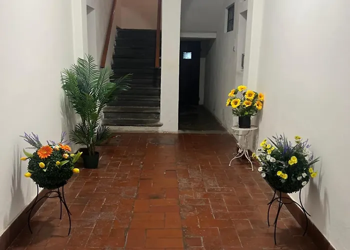 Sogni Di Luna