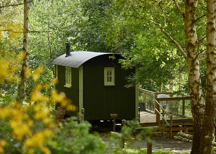 Pet Friendly hotel: The Fish Hotel