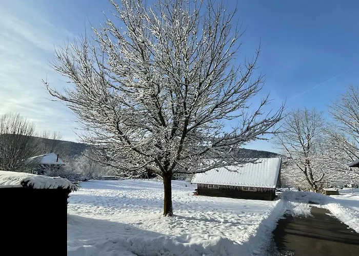 ※ Résidence POMME DE PIN - Terrasse - Nature ※