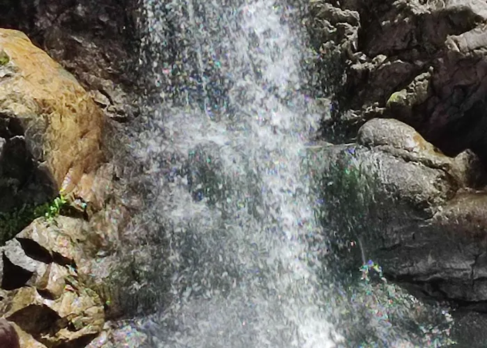 Ishta