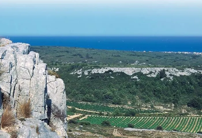 Gîte des Vignerons