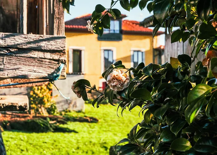 Hotel romántico: La Casona de Faedo Pensión