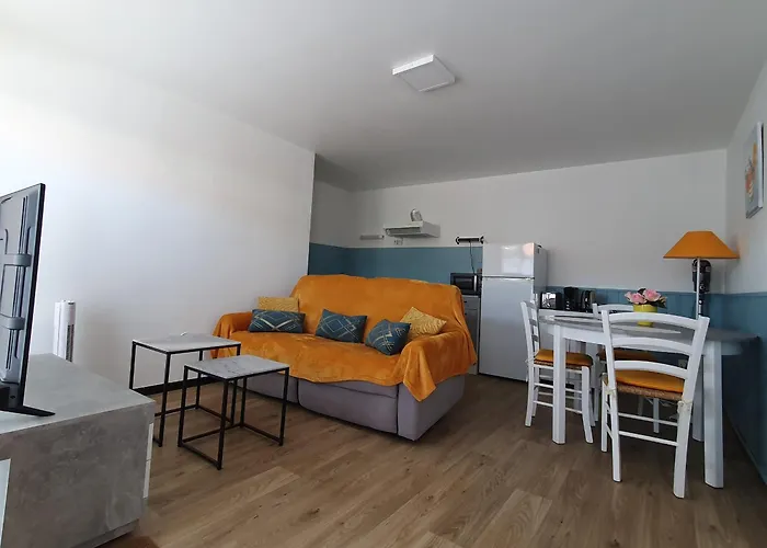 Studio Confortable et Bien Situé – Plages, Port, Animations à Deux Pas - FR-1-476-194