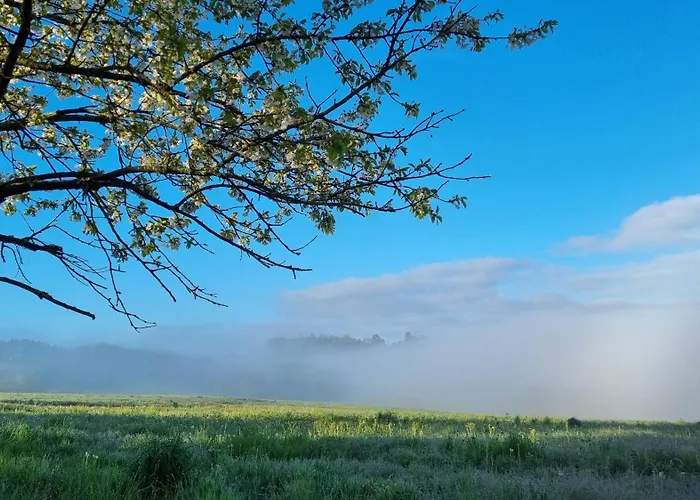 Gîte familial au calme au coeur du Périgord Vert